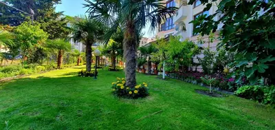 a green yard with a palm tree and flowers at The Love Nest - 1BD Apartment in Sunny Beach by Flat Mаnаger in Sunny Beach