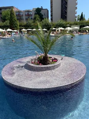 a palm tree sitting in the middle of a swimming pool at Royal Beach NICE VIEW in Sunny Beach