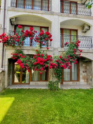a building with red flowers on the side of it at Apartment Marina beach k-s Triumph in Sveti Vlas