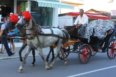 two horses pulling a carriage on a city street at Great Choice Apartment in Chernomorets