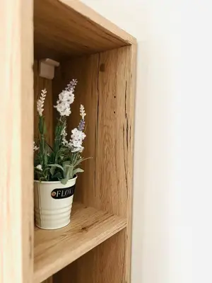 a potted plant sitting on a wooden shelf at Апартамент Sunny home in Chernomorets