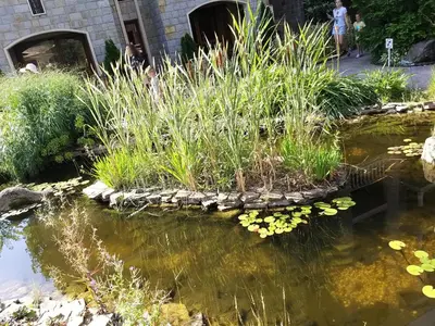 a pond with plants and flowers in a garden at Dream Cascadas - Слънчев бряг in Sunny Beach