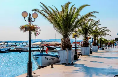 a dock with palm trees and a boat in the water at Нощувки Свети Влас Комплекс Амфора , студио 704 in Sveti Vlas
