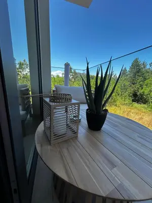 a wooden table with a plant on a balcony at Open Sea Panorama Residence in Obzor