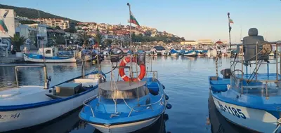 a group of boats docked in a harbor at Studio Sorrento Sole Mare-Bastet BS in Sveti Vlas
