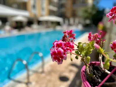 a potted plant with pink flowers next to a pool at Blue Marine - Menada Apartments in Sunny Beach
