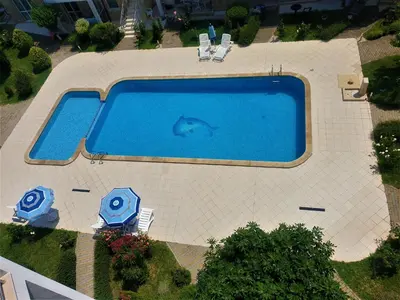 an overhead view of a swimming pool with a dolphin in the water at Elisa Studio in Byala