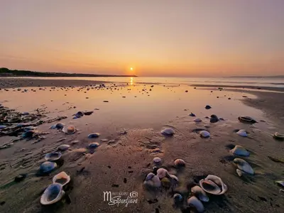 a sunset on the beach with shells on the sand at Santa Cruz apartment in Burgas City
