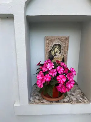 a vase filled with pink flowers sitting on a shelf at Casa Del Mare in Chernomorets