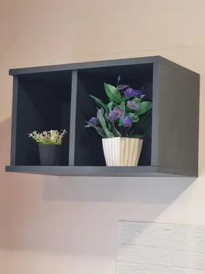 two potted plants on a shelf on a wall at Domus Extra Apartment in Sveti Vlas