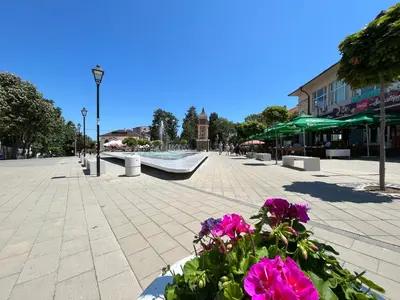 a bouquet of pink flowers in a pot on a street at Апартаменти Астрея Обзор - Apartments Astrea Obzor in Obzor