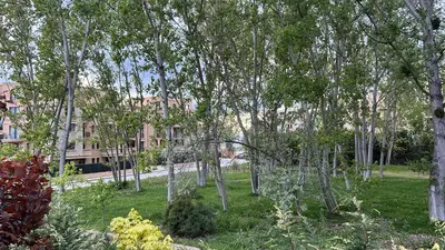 a group of trees in a park with a building at Aphrodite Park in Sunny Beach