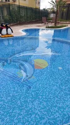 a swimming pool with penguins on the side of it at Aphrodite Park in Sunny Beach