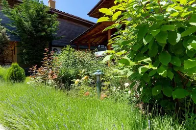 a garden in front of a house with tall grass at Luxury 2 bedroom villa in Sozopolis in Sozopol