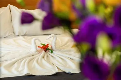 a bed with two swans made out of towels at Complex Sunrise by HMG - All Inclusive in Sunny Beach