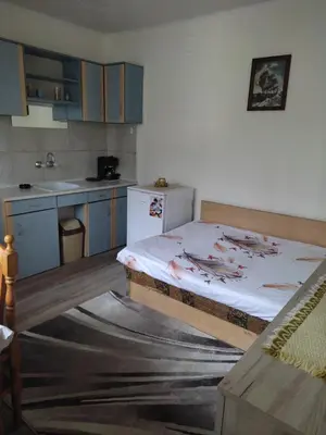 a room with a bed and a kitchen at Уют и топлина. in Varna City