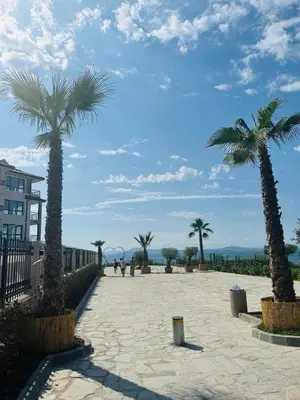 a walkway with palm trees on a beach at Coastal Vibes Studio Burgas by Flat Mаnаger in Burgas City