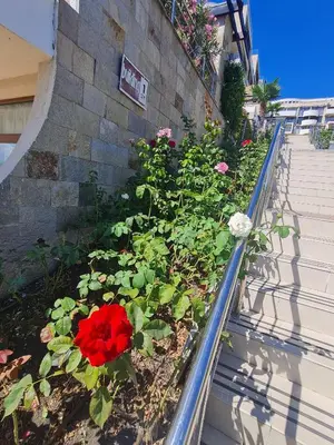 a flower garden on the side of a building at Dolce Vita 2, Appartement in Sveti Vlas