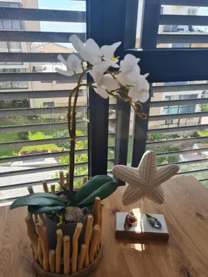 a vase with a flower in a basket on a table at Dolce Vita 2, Appartement in Sveti Vlas