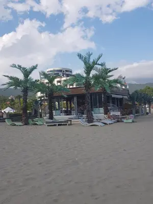 a building on the beach with palm trees in front at Balcony Bliss: The Black Sea Pearl in Sveti Vlas