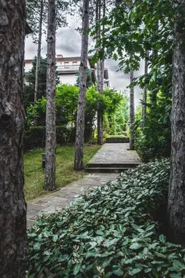 a path in a park with trees and a building at Marina Hills in Sozopol