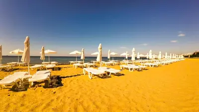 a row of white umbrellas and chairs on a beach at William's apartments - sixth large apartment in Sveti Vlas