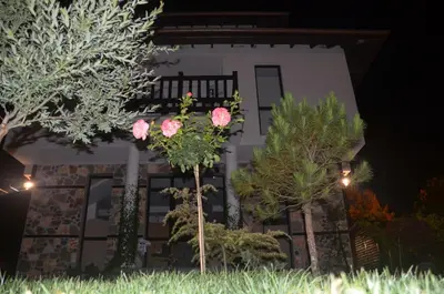 a house at night with trees in front of it at Zapovedni Rai in Primorsko