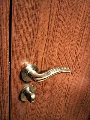 a metal door handle on a wooden door at Elizabeth Dy Boutique Hotel in Nesebar