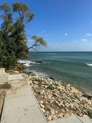 a beach with trees and the ocean on a sunny day at Alex Beach in Elenite