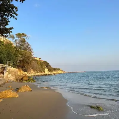 Alex Beach