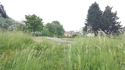 a field of tall grass with a house in the background at Studio Apartment C32 in Dream Holiday Complex Ravda in Ravda