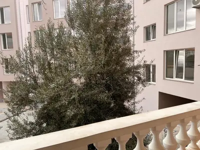 a tree on the balcony of a building at Apartament Marinela 2 in Pomorie