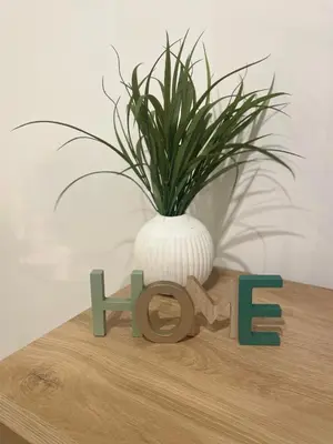 a plant in a white vase on a wooden shelf at Art Home in Burgas City