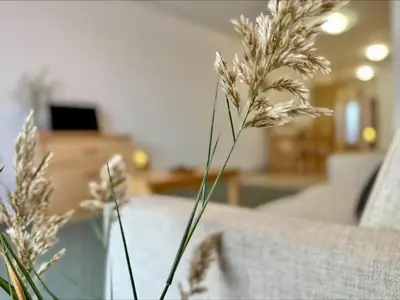 a flower in a vase next to a couch at Menada Apartments in Marina Cape in Aheloy