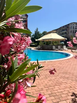 a swimming pool with pink flowers in front of it at Apartment Nani -Sunny beach in Sunny Beach