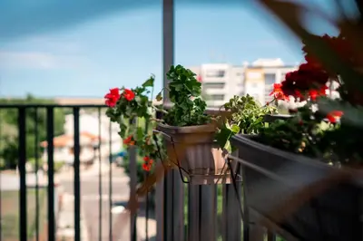 a group of potted plants on a balcony at Sky Residence Burgas with FREE Garage - Sky Apartments Burgas in Burgas City