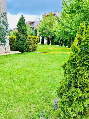 a yard with green grass and trees and a building at Paradise View in Sunny Beach