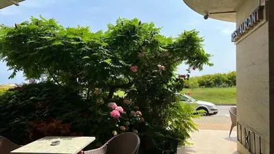 a bush with pink flowers on a patio at Stamopolulux директен изглед към морето in Primorsko