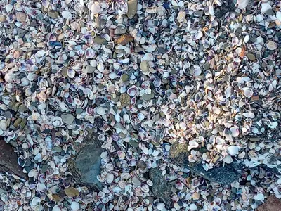 an overhead view of a crowd of people wearing hats at Sveti Vlas Sea Dreams apartament in Sveti Vlas