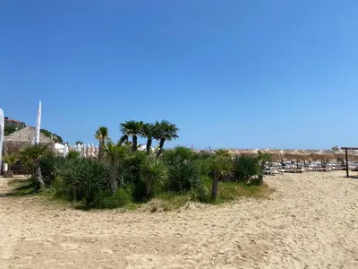 a beach with chairs and palm trees on it at HORIZON 7 'А' Studio Sveti Vlas in Sveti Vlas
