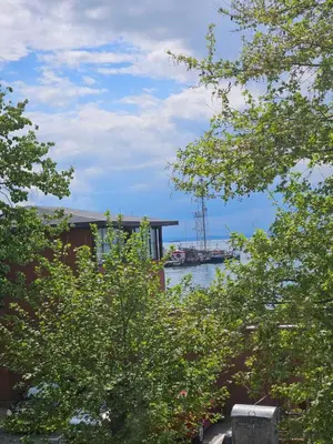 a view of a river from between two trees at Апартамент Елинор in Pomorie
