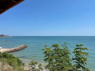 a view of a beach with trees and the ocean at Peter Apartmanbulgaria-Crown Fort Noks in Sveti Vlas