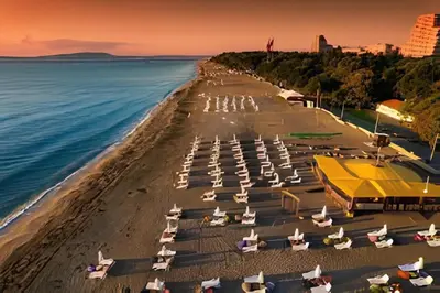 a beach with chairs and umbrellas and the ocean at 