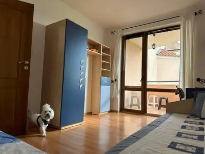 a white dog standing in a room with a bedroom at Tania's Home in Sunny Beach