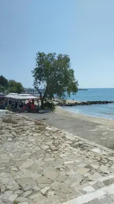 an empty beach with a tree and the water at Seafront apartment Lucky in Sveti Vlas