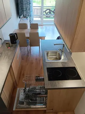 a kitchen with a sink and a dishwasher at Royal Palm Studio, Sveti Vlas in Sveti Vlas