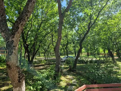 a car is parked in a park with trees at Хижа 