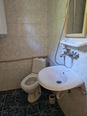 a bathroom with a sink and a toilet at Хижа 