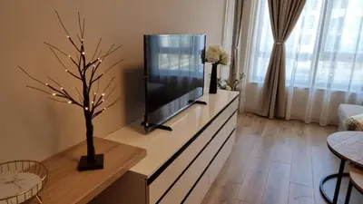 a living room with a flat screen tv and a tree at Sorrento Sole Mare V&D Luxury Style Apartment in Sveti Vlas