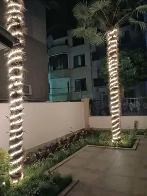two palm trees with lights in a courtyard at night at Timeless Sea in Tsarevo